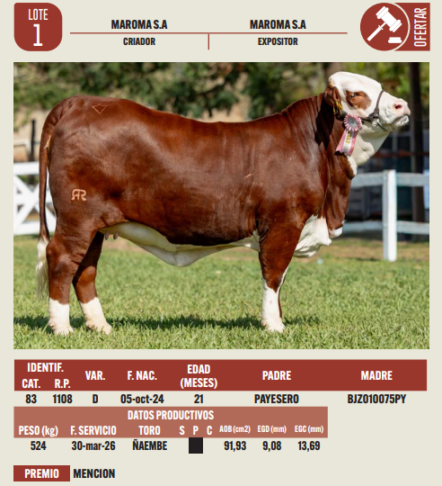 Lote LOTE 1