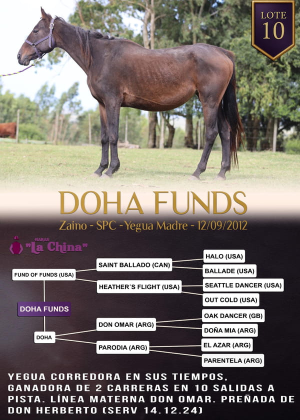 Lote DOHA FUNDS