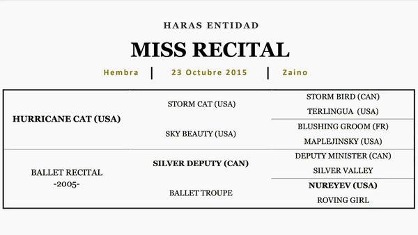 Lote MISS RECITAL (HURRICANE CAT - BALLET RECITAL)