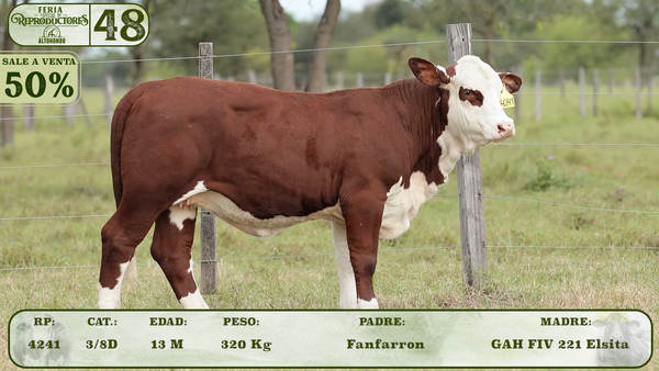 Lote LOTE 48- SALE A VENTA EL 50%