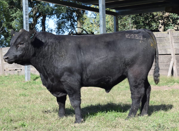 Lote CABAÑA “COEMBOTÁ” de Calderón RP 131