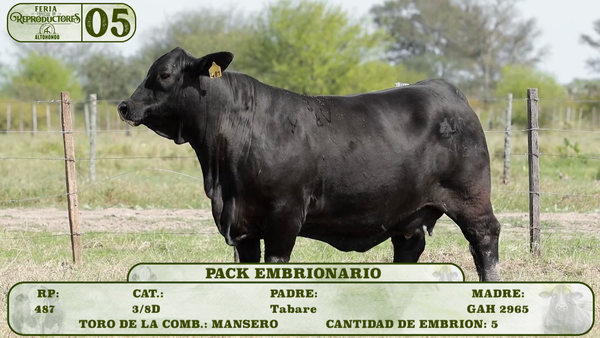 Lote LOTE 5