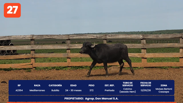 Lote LOTE 27