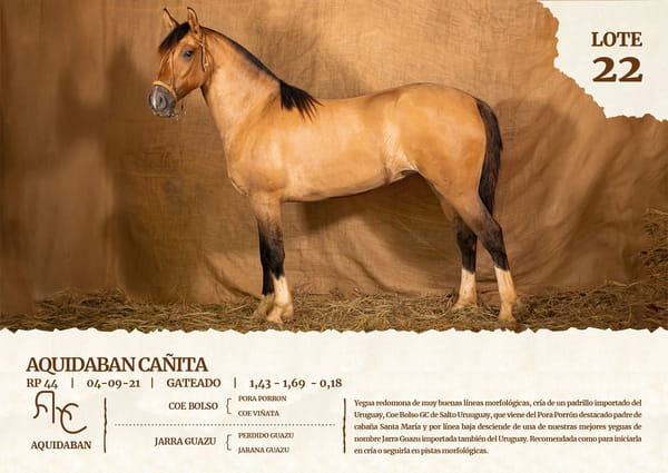Lote AQUIDABAN CAÑITA