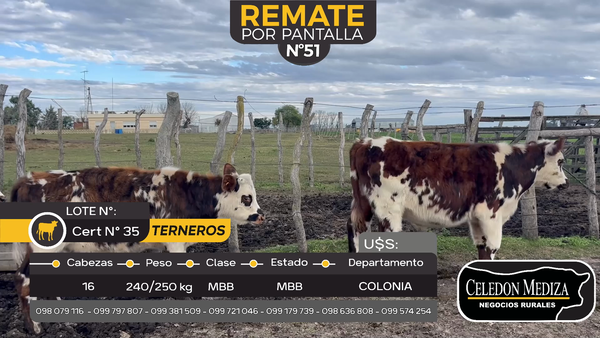 Lote 16 Terneros en Campana, Colonia