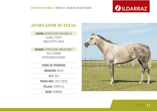 Lote APARTADOR HI TEXAS