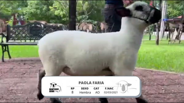 Lote LOTE 1B BOZAL - RP 8