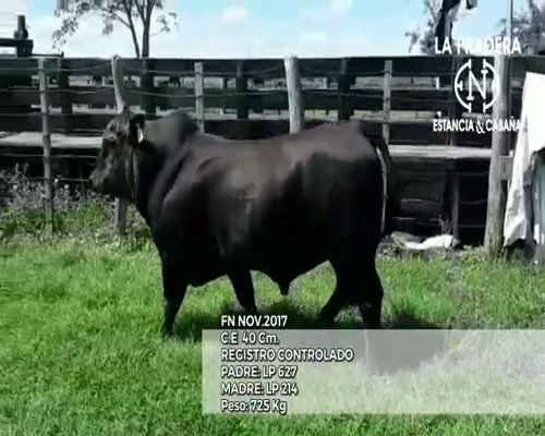 Lote CABAÑA "LA PRADERA" 1013