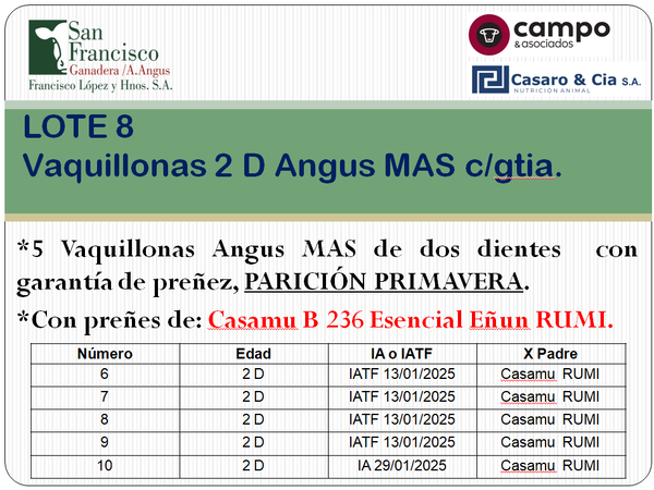 Lote 5 Vaquillonas Angus MaS con garantía de preñez, al parir. San Francisco
