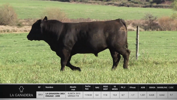 Lote LA GANADERA 3053 ENGAGE - 2498