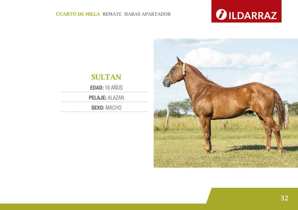 Lote SULTAN