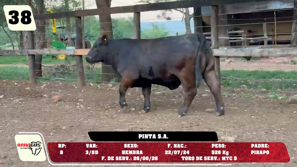 Lote LOTE 38 - DE CAMPO