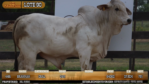 Lote LOTE 90 - PANTALLA