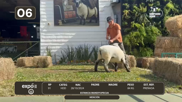 Lote LOTE 6 - BOZAL