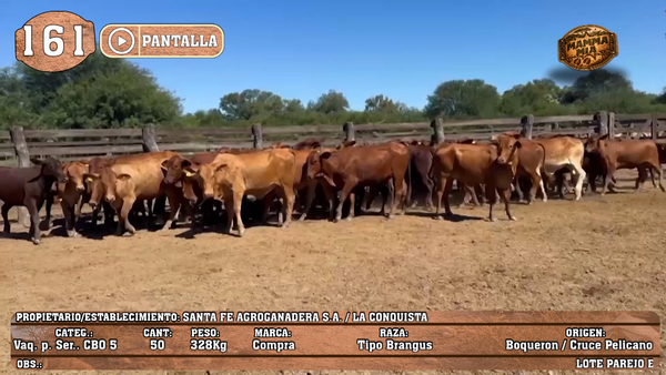 Lote LOTE 161 - PANTALLA