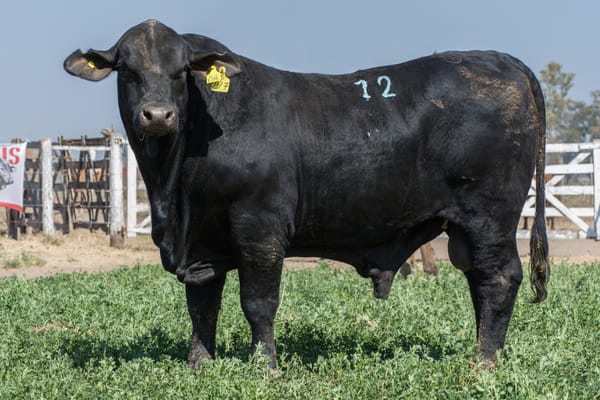 Lote Corral 33 - CABAÑA DON FELIPE