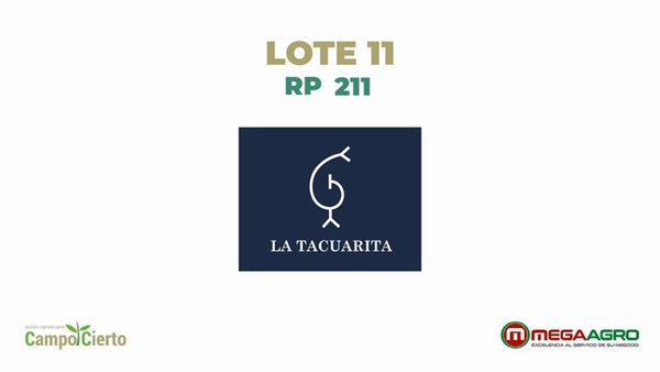 Lote LA TACUARITA