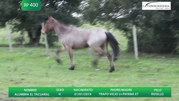 Lote ALUMBRA EL TACUARAL