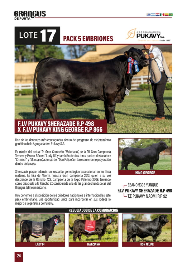 Lote PACK 5 EMBRIONES F.I.Y PUKAYY SHERAZADE R.P 498 X F.I.Y PUKAYY KING GEORGE R.P 866