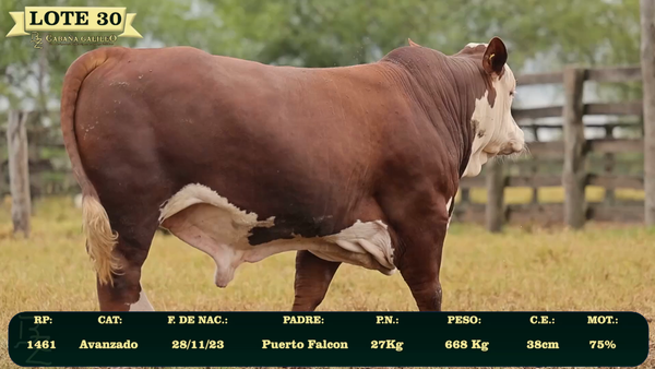 Lote LOTE 30