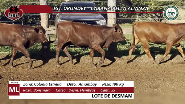 Lote EST. URUNDEY - CABAÑA BELLA ALIANZA