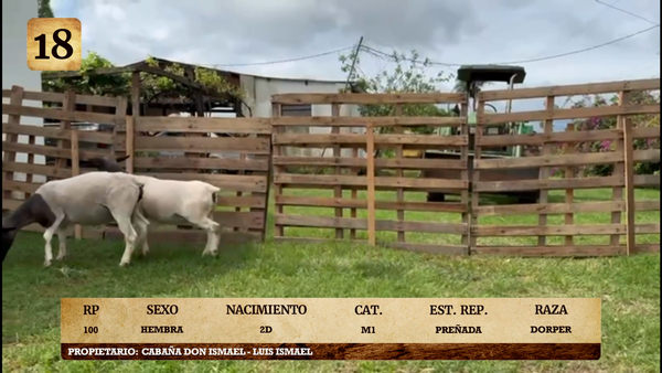 Lote LOTE 18