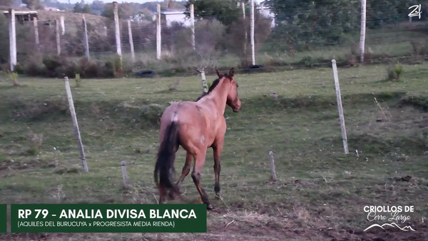 Lote Analia Divisa Blanca
