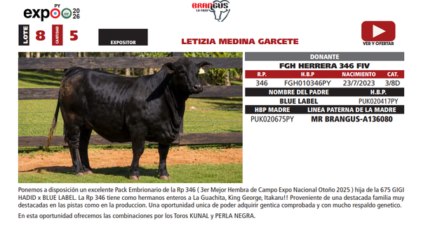 Lote LOTE 8