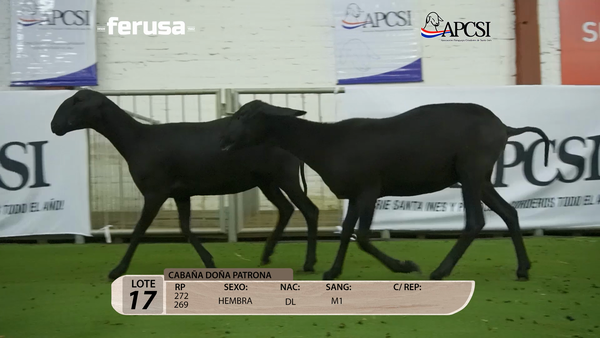 Lote Nacional Santa Inés Campo - Lote 17
