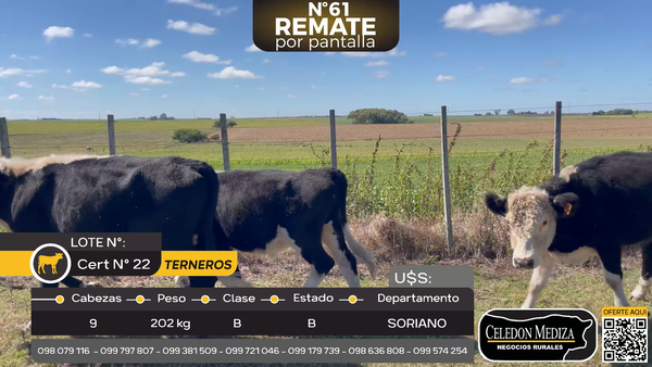 Lote 9 Terneros en Agraciada, Ruta 12,Soriano