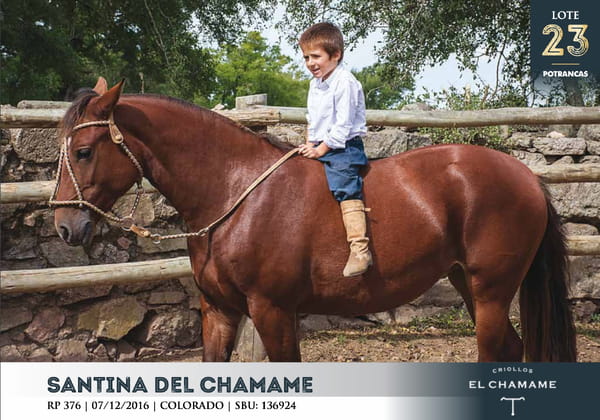 Lote SANTINA DEL CHAMAME