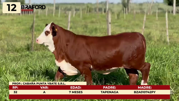 Lote LOTE 12
