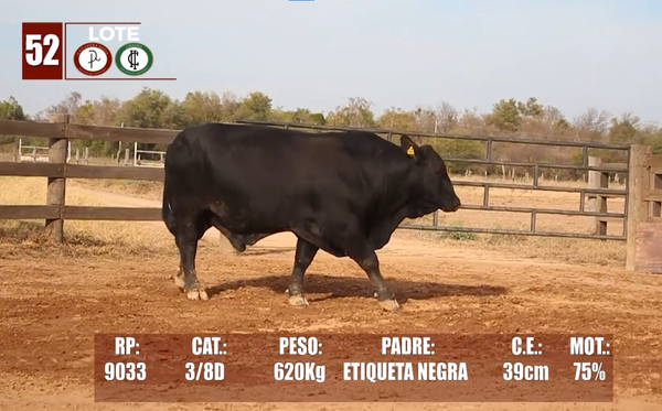 Lote Lote 52