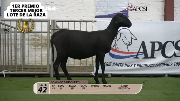 Lote Nacional Santa Inés Campo - Lote 42