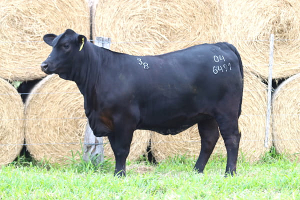 Lote LOTE 8