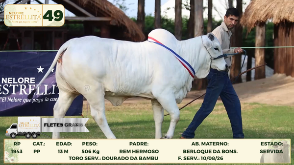 Lote LOTE 49- DONACION