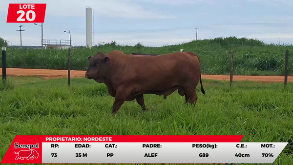 Lote LOTE 20