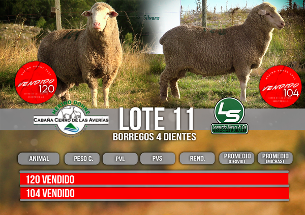 Lote LOTE 11