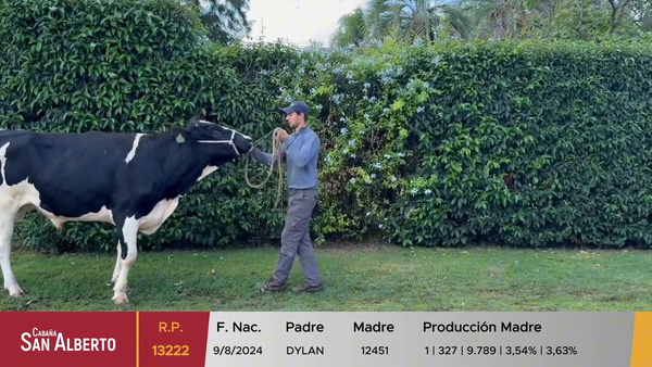 Lote Toros, Canelones