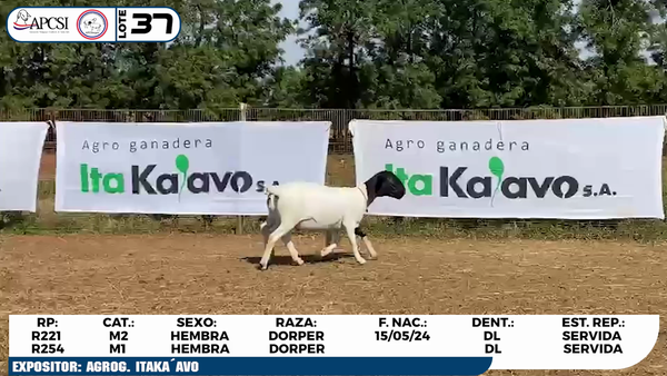 Lote LOTE 37