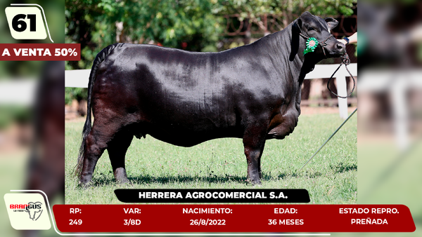 Lote LOTE 61- SALE A VENTA AL 50%