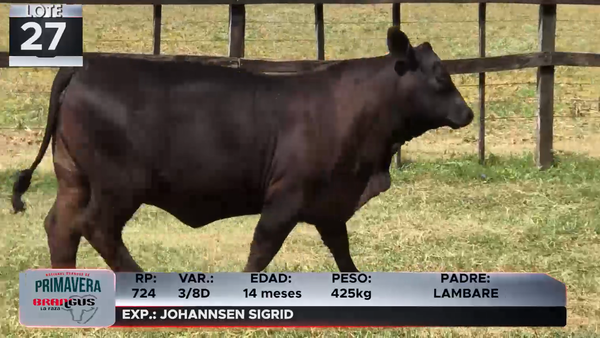 Lote LOTE 27