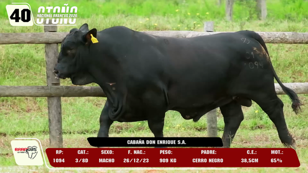 Lote LOTE 40 -DE CAMPO