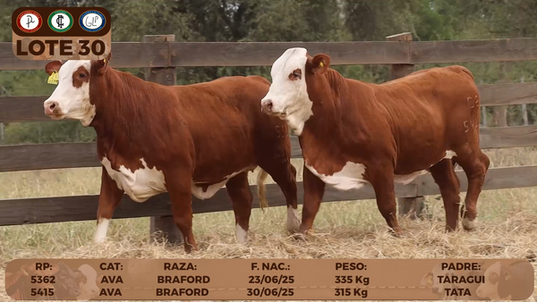 Lote LOTE 30