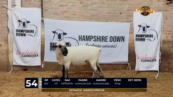 Lote LOTE 54