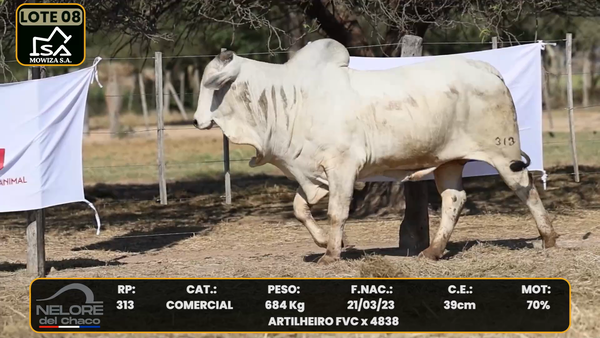 Lote LOTE 8