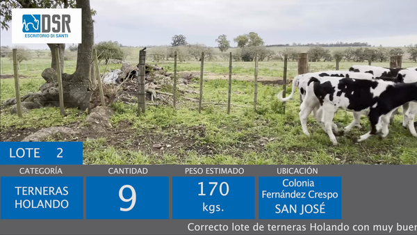 Lote 9 Terneras, Florida