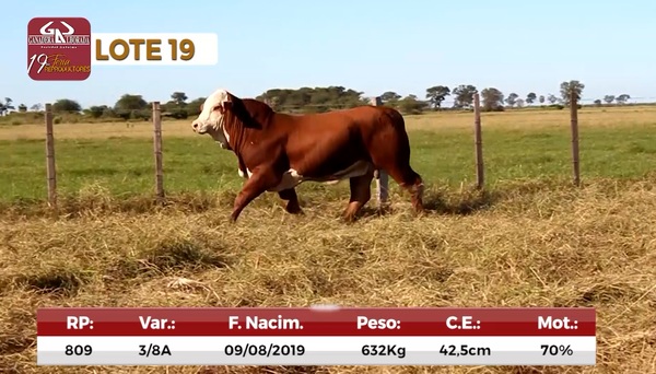 Lote Reproductores de Alborada - Lote 19