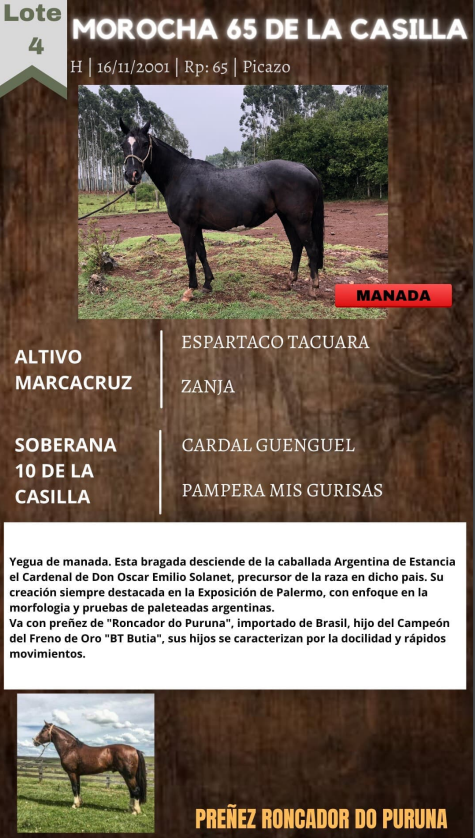 Lote MOROCHA 65 DE LA CASILLA