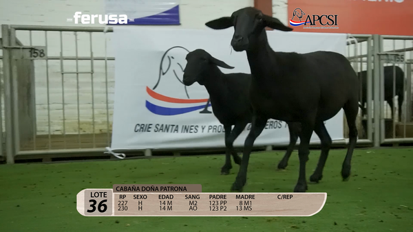 Lote Nacional Santa Inés Campo - Lote 36